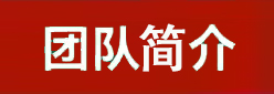 团队简介